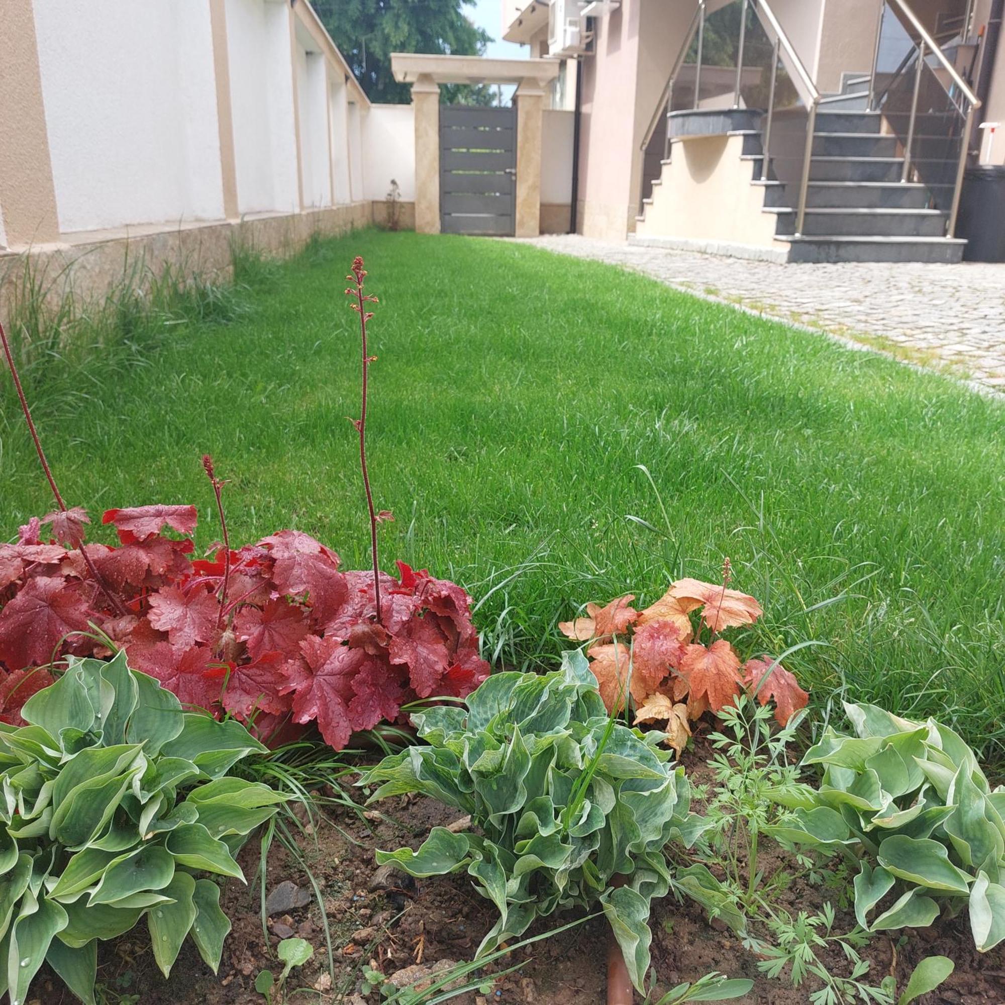 Stella Guesthouse Sapareva Banya Dış mekan fotoğraf